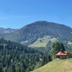 4 Die kleine Kapelle gehört zur Alpe S' Bergle.jpg