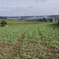 06 Münsterblick.JPG