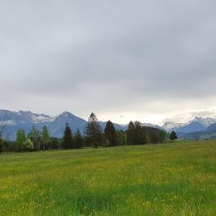 06 Rubihorn Oberstdorfer Alpen.jpg