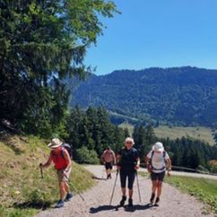 8 Sonniger Aufstieg zum Hündlekopf.jpg