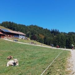 9 Auf der Sennalpe Bärenschwand noch unterhalb vom Hündlekopf genießen einige eine Tasse Kaffee oder ein (alkoholfreies) Bier..jpg