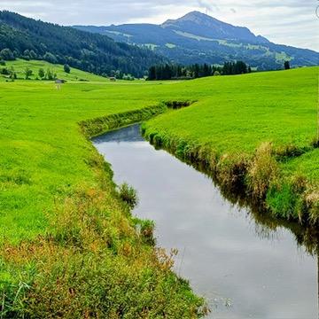Bild15.jpg